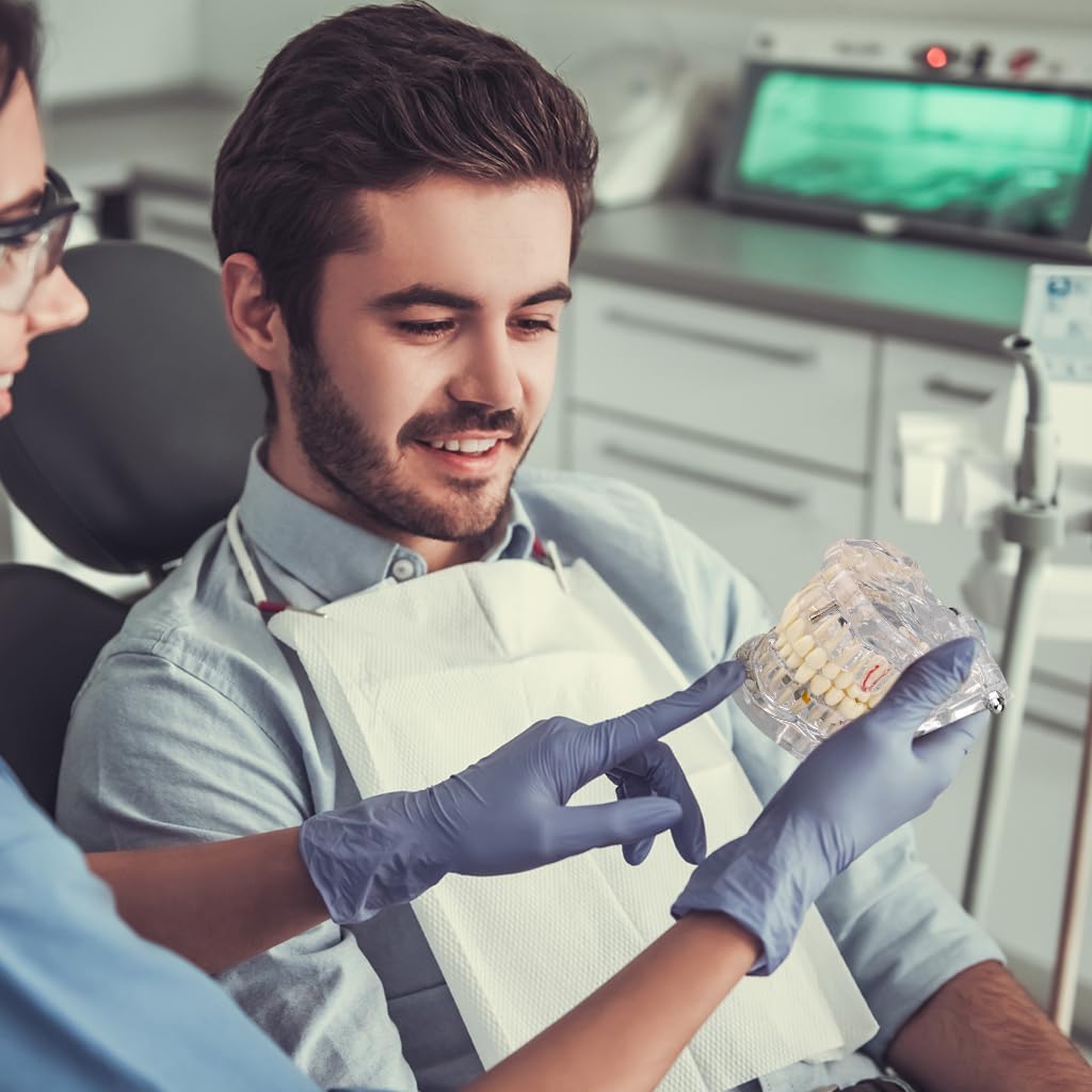 Serplex Transparent Dental Model 1: 1 Adults Pathological Dental Model with Detachable Teeth Educational Tool for Dentists, Hygienists, Students Serplex Transparent Dental Model 1: 1 Adults Pathological Dental Model with Detachable Teeth Educational Tool for Dentists, Hygienists, Students